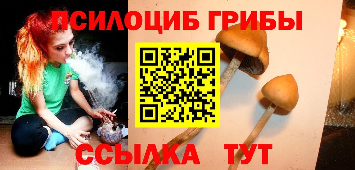 Псилоцибиновые грибы MAGIC MUSHROOMS  Галлюциногенные грибы GOLDEN TEACHER  Вход с VPN  Краснотурьинск 